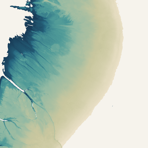 Relief intertidal de Saint-Froult, 2020–2022
